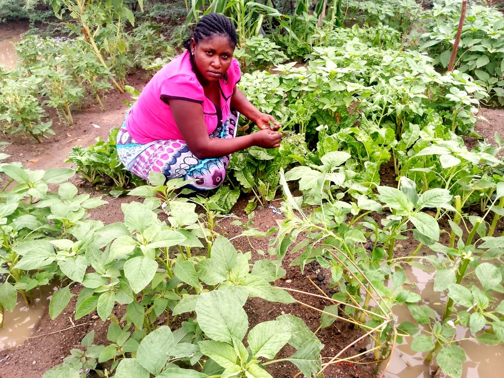 August 2025 Dignity in Action Program Activity 1